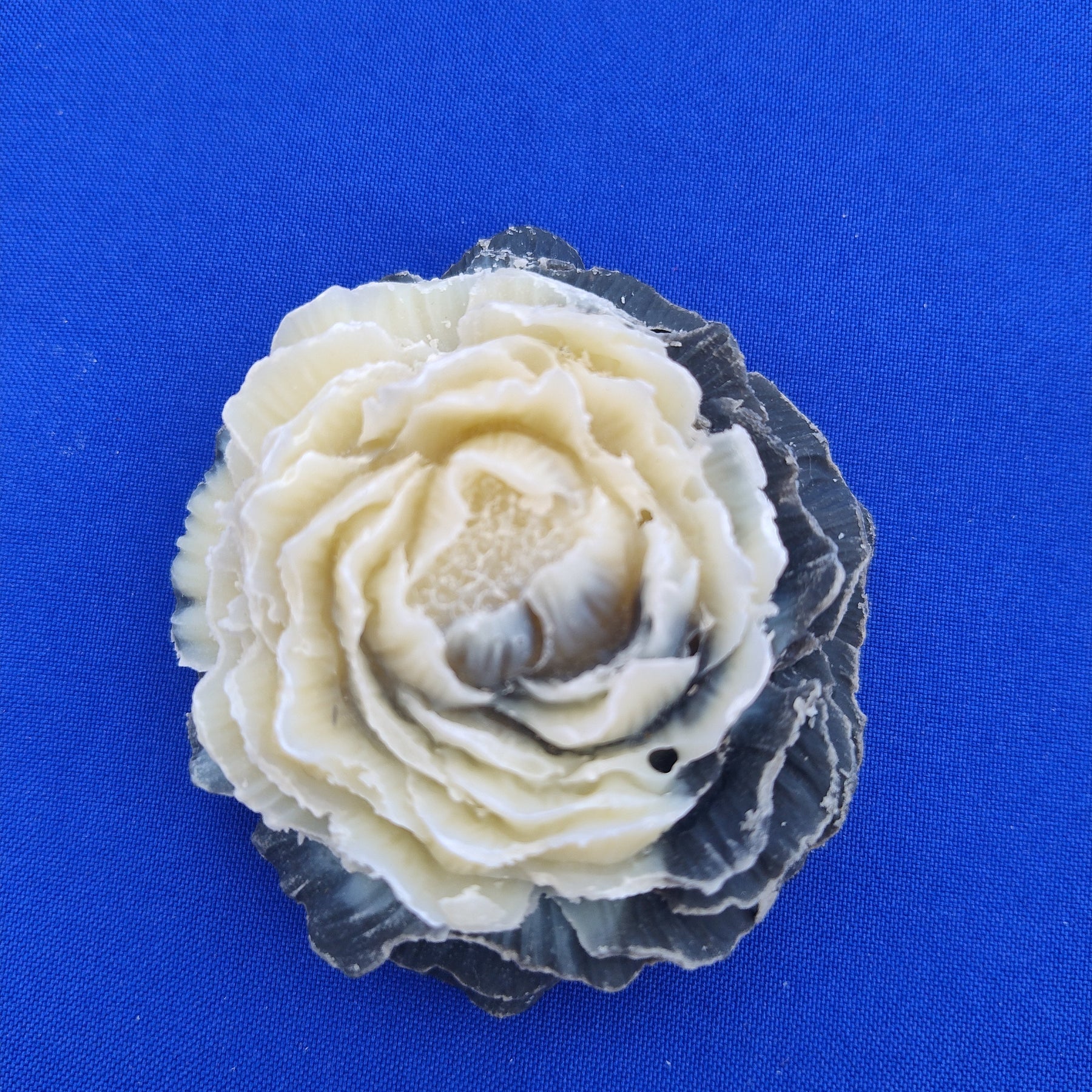 Savon surgras en forme de pivoine Avocat et Charbon - Les Petits Savons