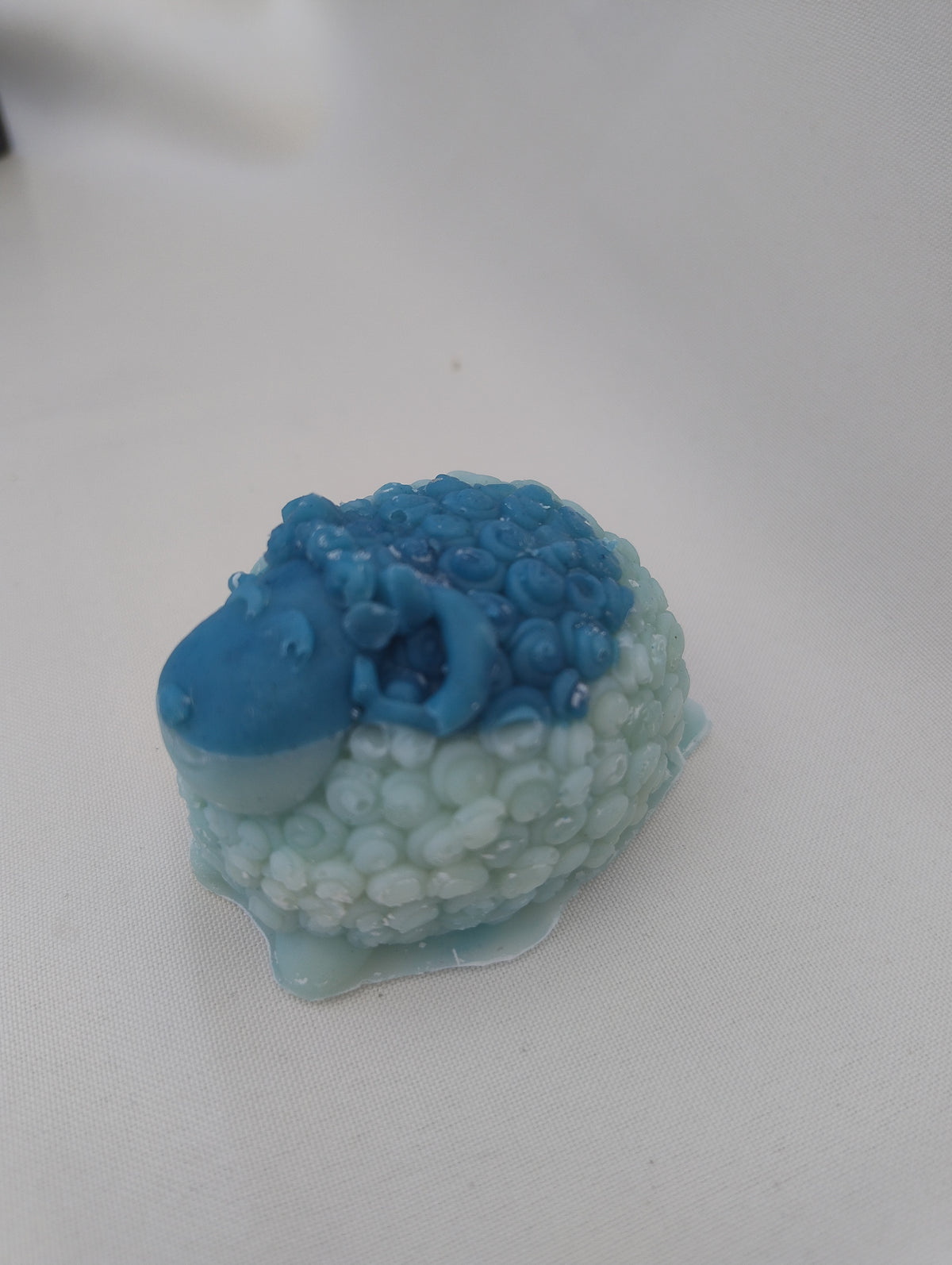 Animaux Verveine Exotique