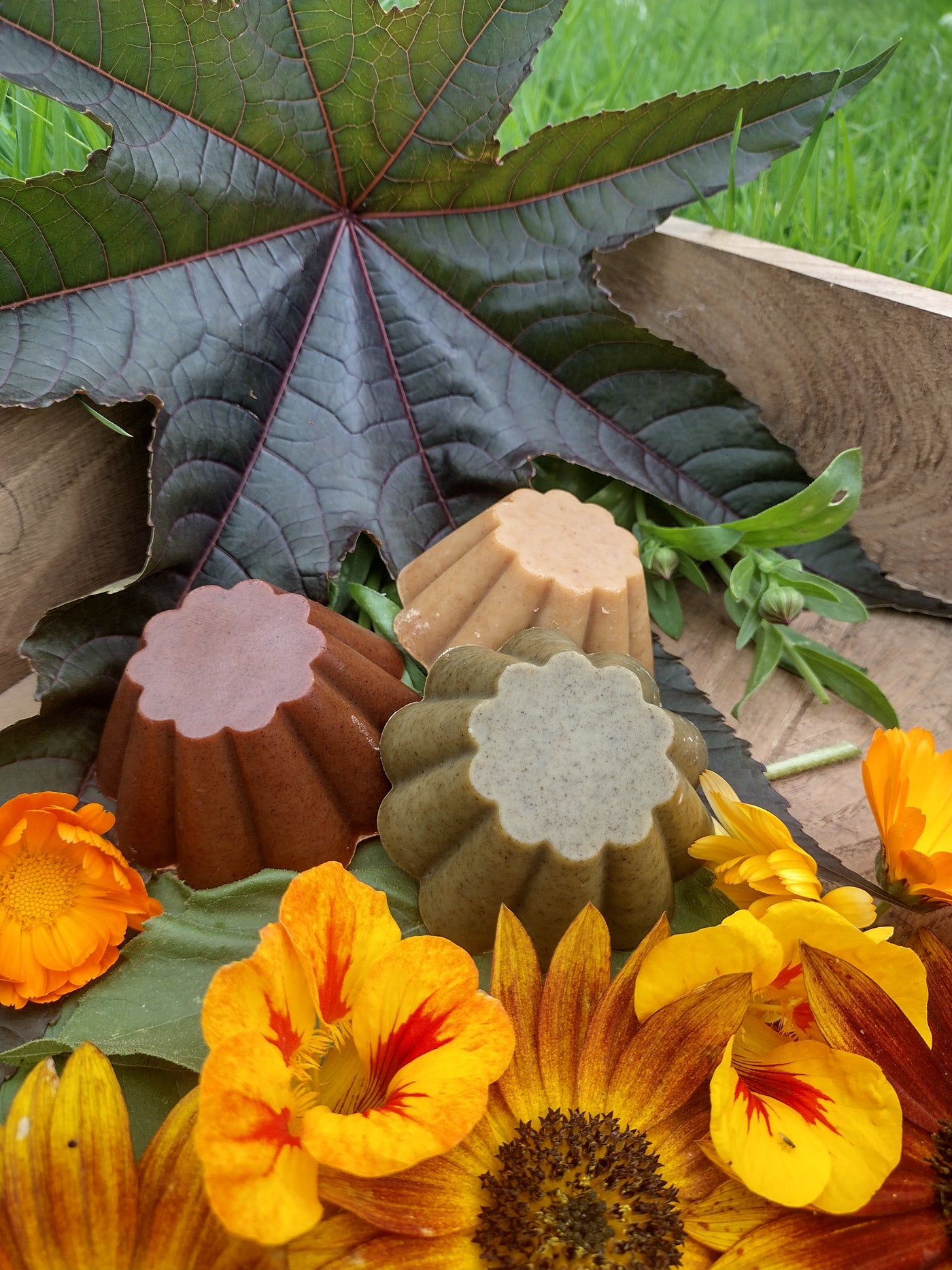 shampoing artisanal sans produit chimique